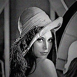 Film Noir