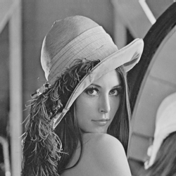 Grayscale